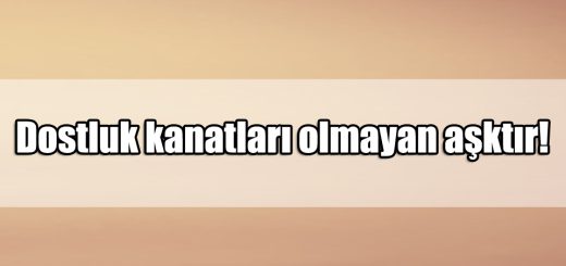 En Güzel Arkadaş ile ilgili Sözler