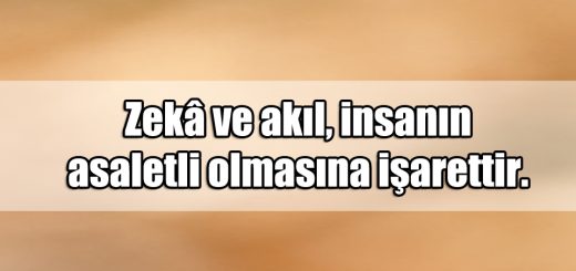 En Güzel Asalet ile ilgili Sözler