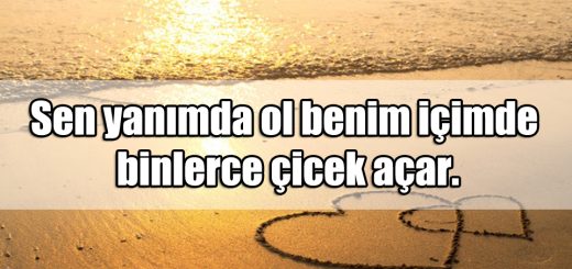 En Güzel Aşk Sevgi ile ilgili Sözler