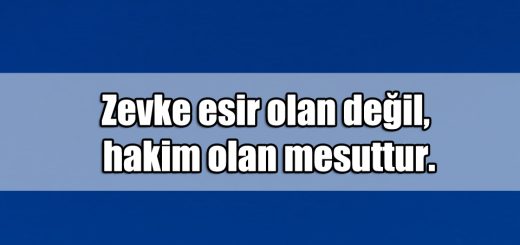 En Güzel Zevkli ile ilgili Sözler
