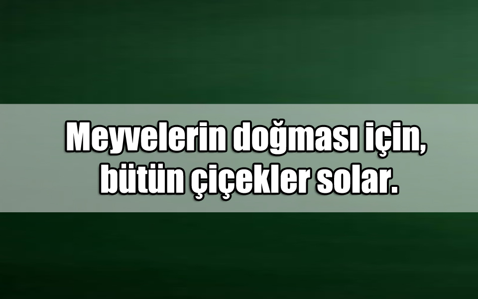 En Güzel Fedakarlık ile ilgili Sözler