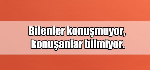 En Güzel Bilge ile ilgili Sözler