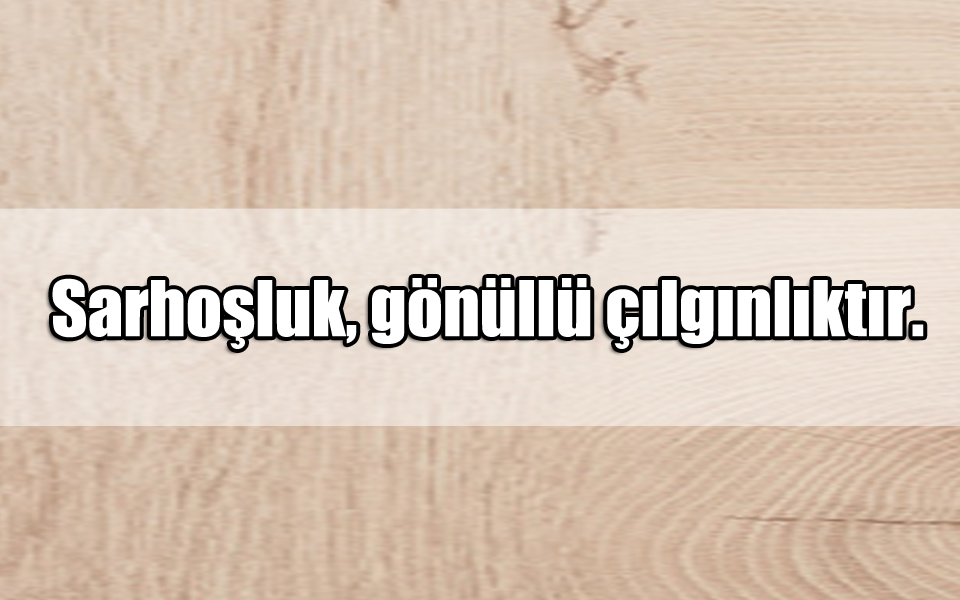 En Güzel Sarhoş ile ilgili Sözler