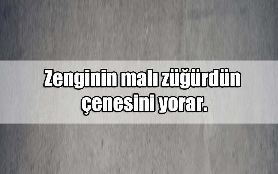 En Güzel Zengin ile ilgili Sözler