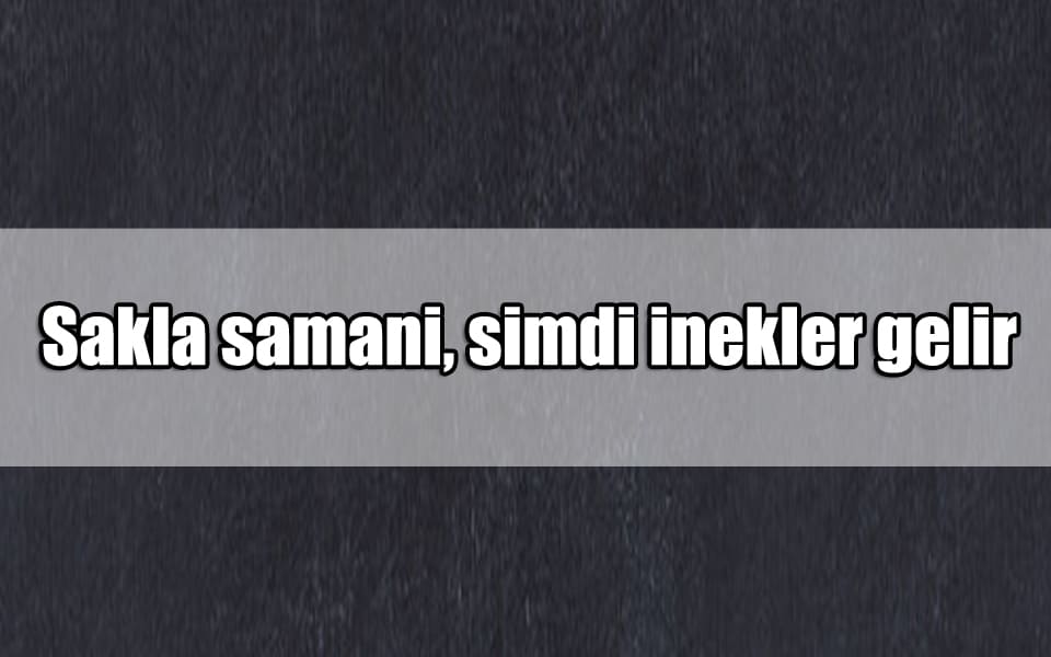 En Güzel Gıcık ile ilgili Sözler