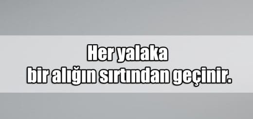 En Güzel Yalakalık Mesajları