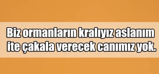 En Güzel Aslan Mesajları