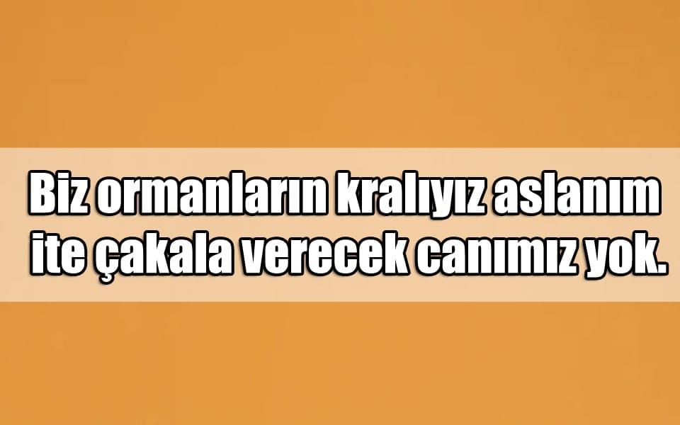 En Güzel Aslan Mesajları