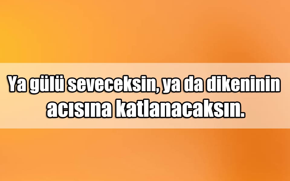 En Güzel Gül Mesajları