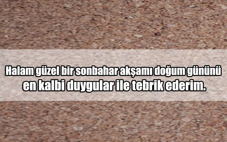 En Güzel Halaya Doğum Günü Mesajları-min