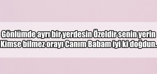 En Güzel Babaya Doğum Günü Mesajları