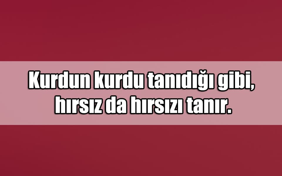 En Güzel Kurt Mesajları