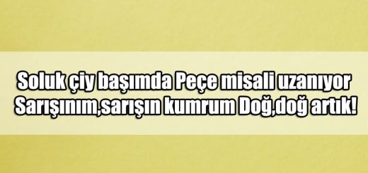 En Güzel Sarışınlar Mesajları