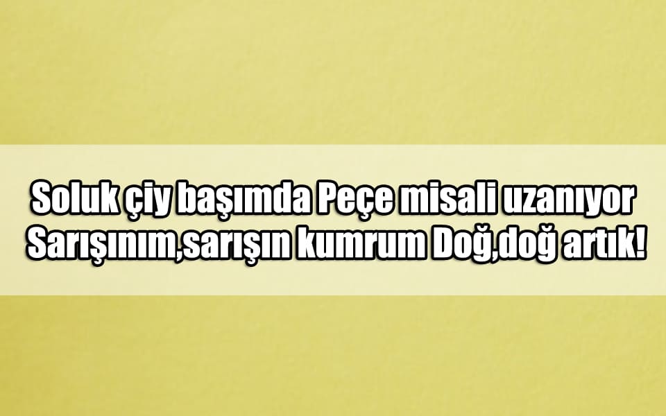 En Güzel Sarışınlar Mesajları