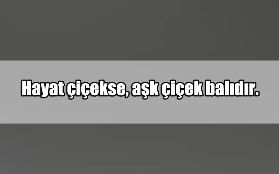 En Güzel Çiçek Mesajları