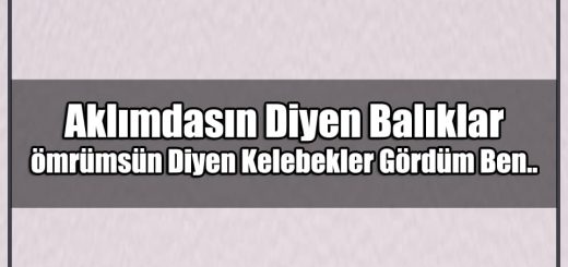 En Güzel Komik Durum Mesajları