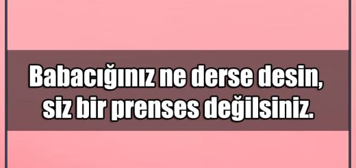 En Güzel Prenses Mesajları