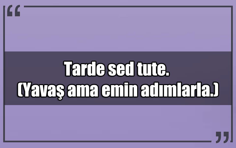 En Güzel Anlamlı Latince Mesajlar