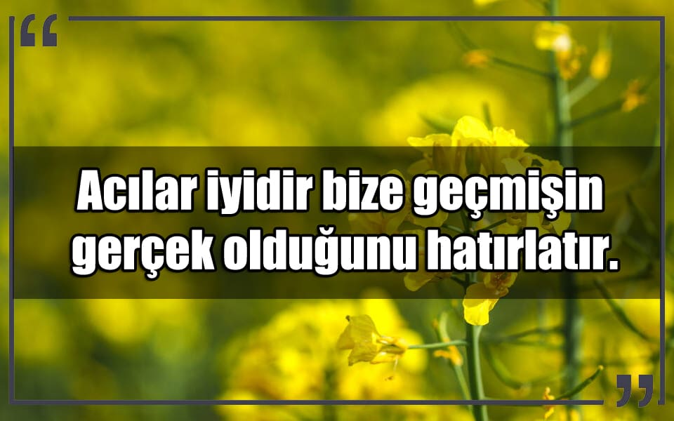 En Güzel Hal Hatır Sorma Mesajları