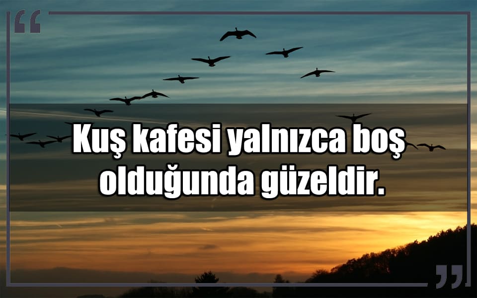 En Güzel Kuşlar Mesajları