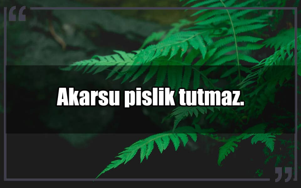 En Güzel Su Mesajları