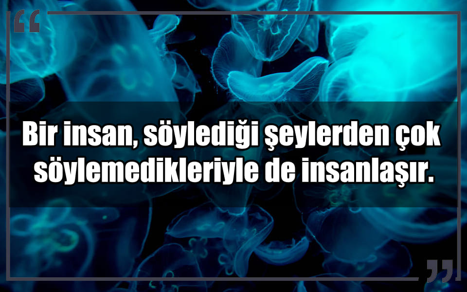 En Güzel Susmak Mesajları