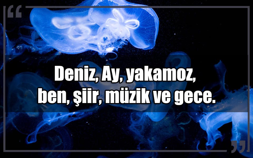 En Güzel Yakmoz Mesajları