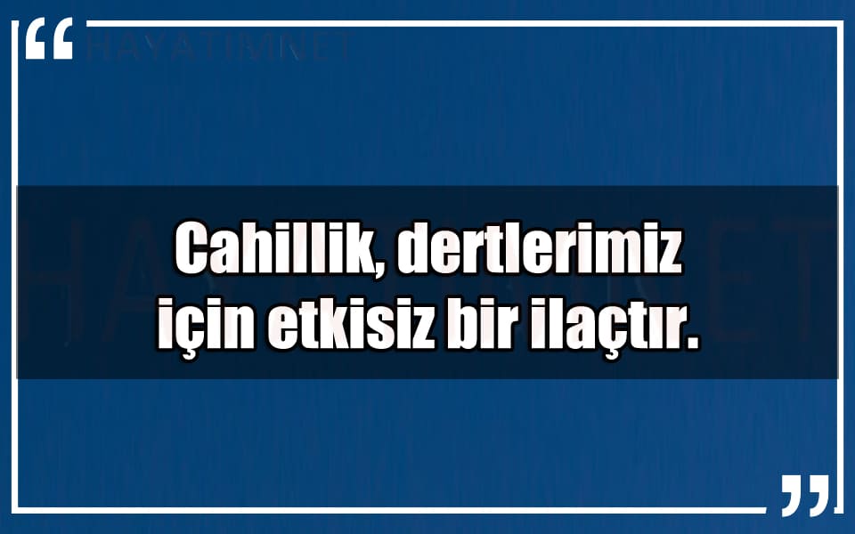 En Güzel Cahillik Mesajları