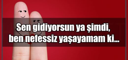 En Güzel Sevgiliye Whatsapp Durumları