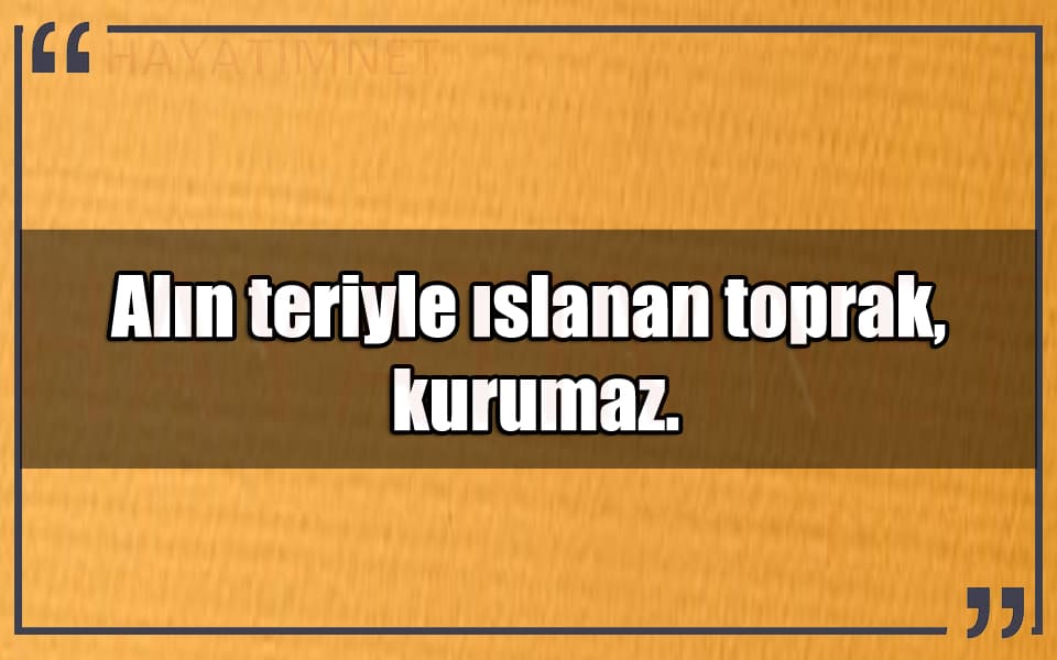 En Güzel Alın Teri Mesajları