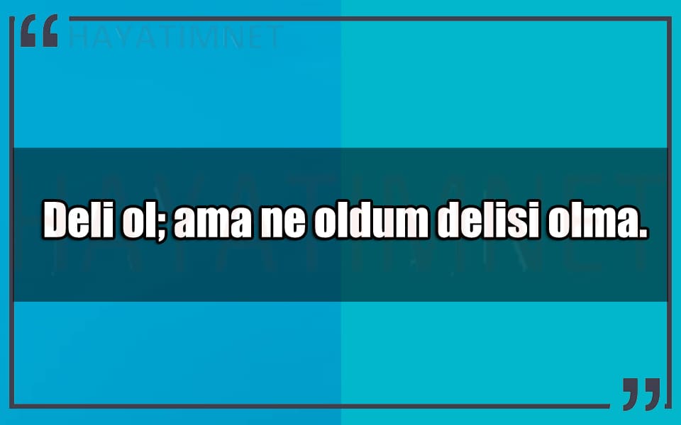 En Güzel Deli Dolu Mesajlar