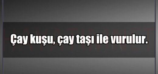 En Güzel Taş Mesajları