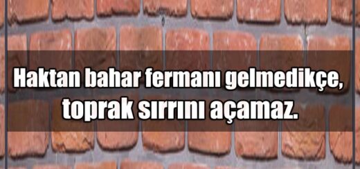 En Güzel Toprak Mesajları