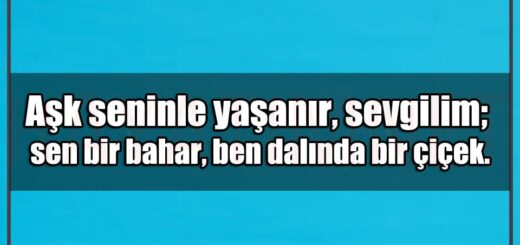 En Güzel Aşk Seninle Yaşanır Mesajları