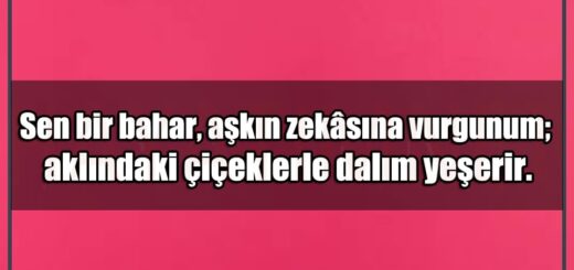 En Güzel Aşkın Zekasına Vurgunum Mesajları