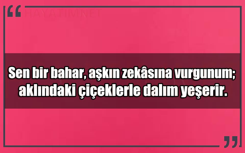 En Güzel Aşkın Zekasına Vurgunum Mesajları