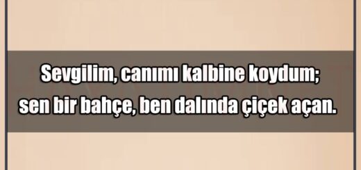 En Güzel Canımı Kalbine Koydum Mesajları