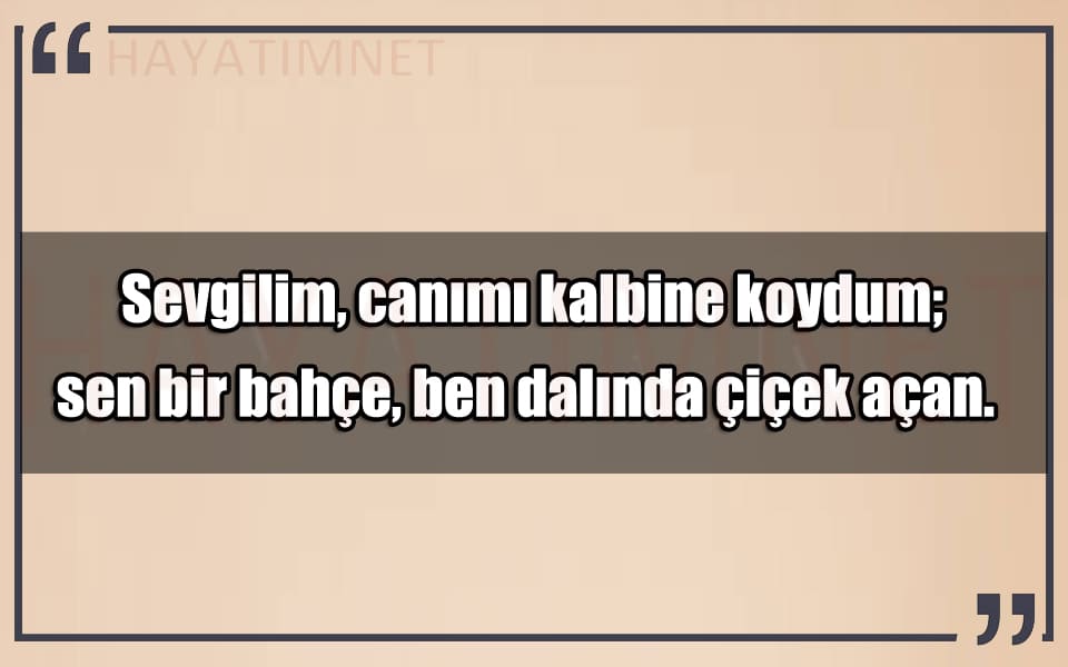 En Güzel Canımı Kalbine Koydum Mesajları