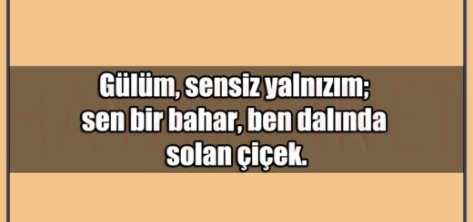 En Güzel Gülüm Sensin Yalnızım Mesajları