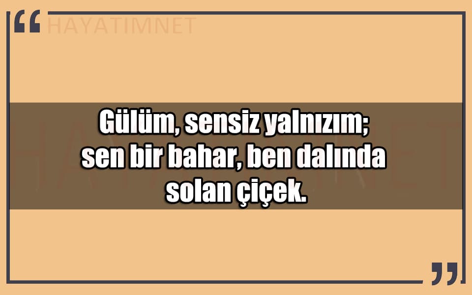 En Güzel Gülüm Sensin Yalnızım Mesajları