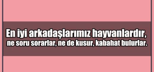 En Güzel Hayvanlar Mesajları