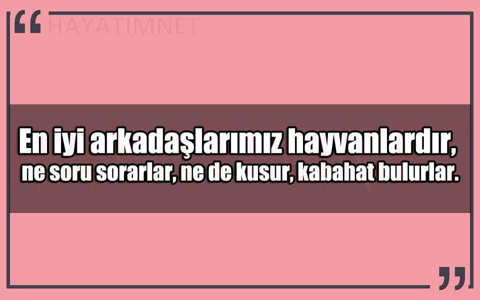 En Güzel Hayvanlar Mesajları