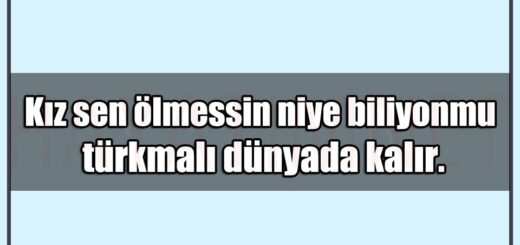 En Güzel Laf Sokucu Whatsapp Durumları Mesajları