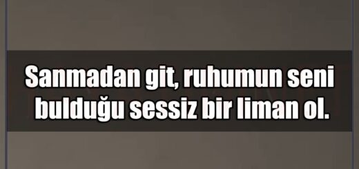 En Güzel Sanmadan Git Mesajları