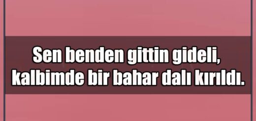 En Güzel Sen Benden Gittin Gideli Mesajları