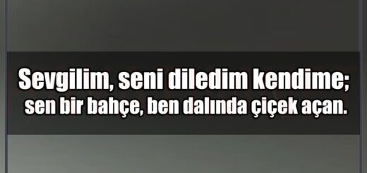 En Güzel Seni Diledim Kendime Mesajları