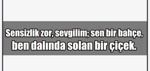 En Güzel Sensizlk Zor Mesajları