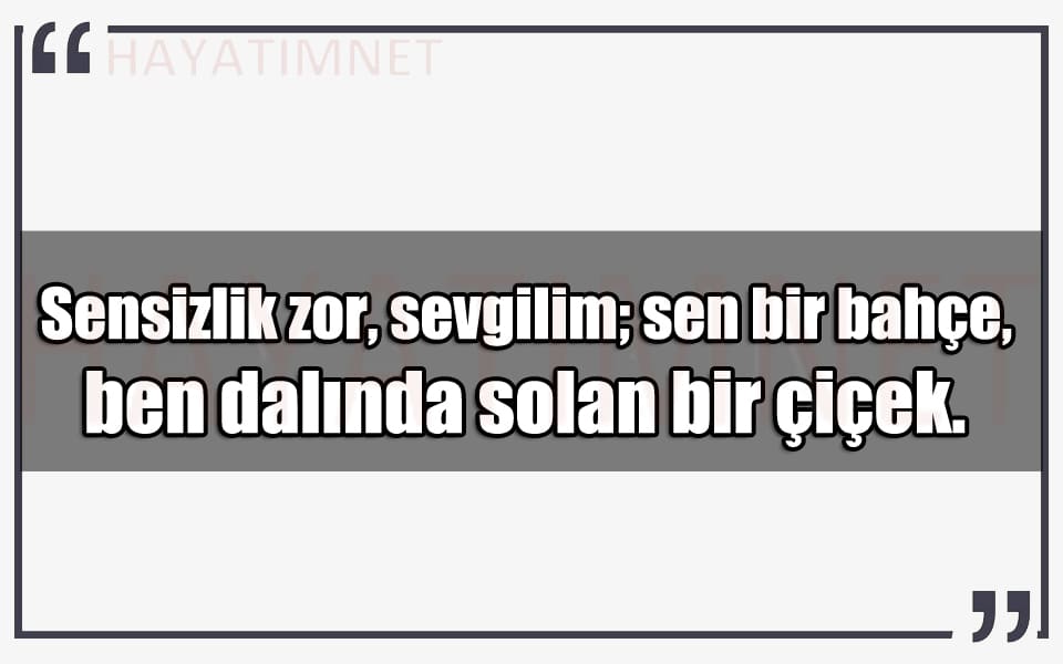 En Güzel Sensizlk Zor Mesajları