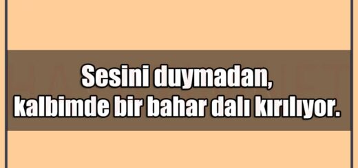 En Güzel Sesini Duymadan Mesajları