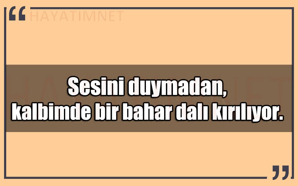 En Güzel Sesini Duymadan Mesajları